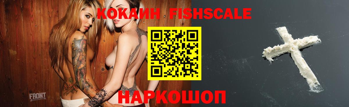 где купить   Cocaine Fish Scale  Вход с VPN  Амурск 